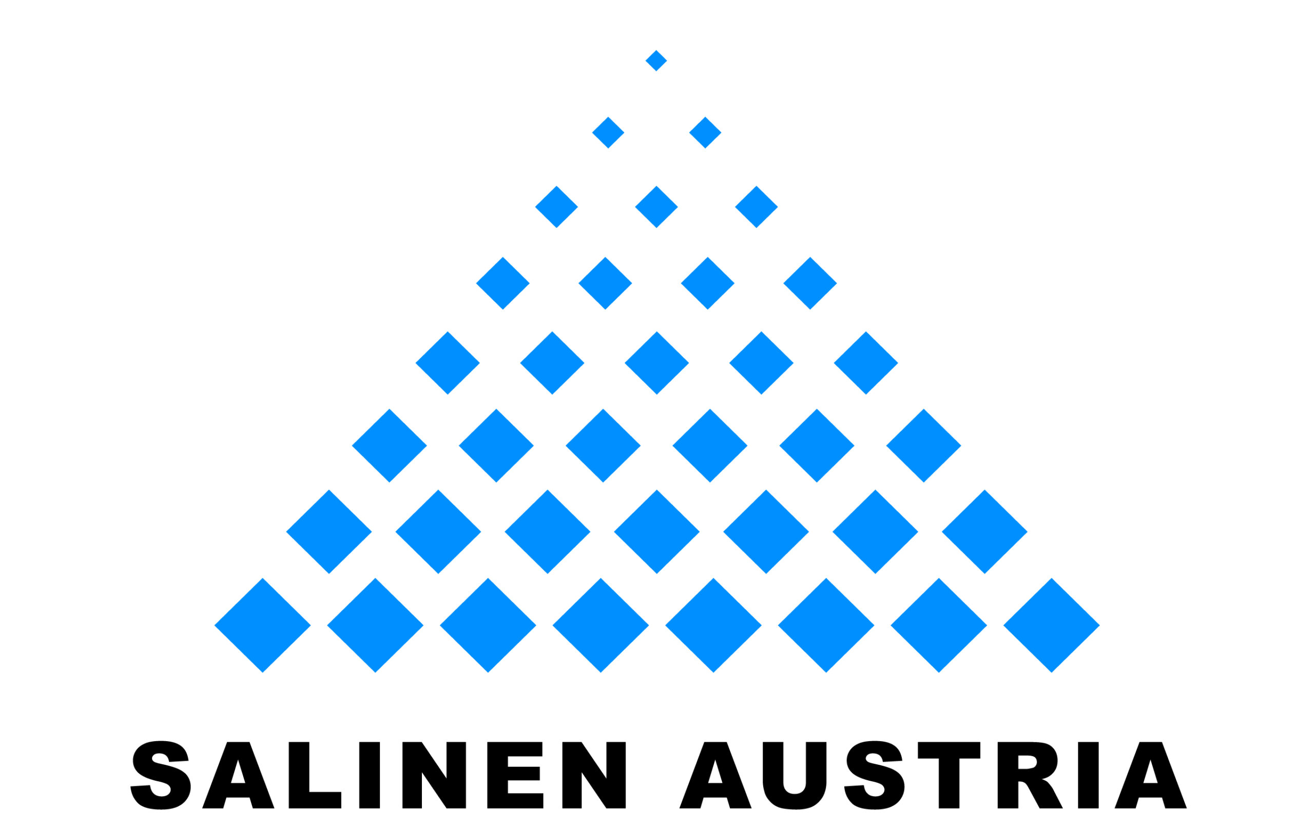 SALINEN AUSTRIA AG