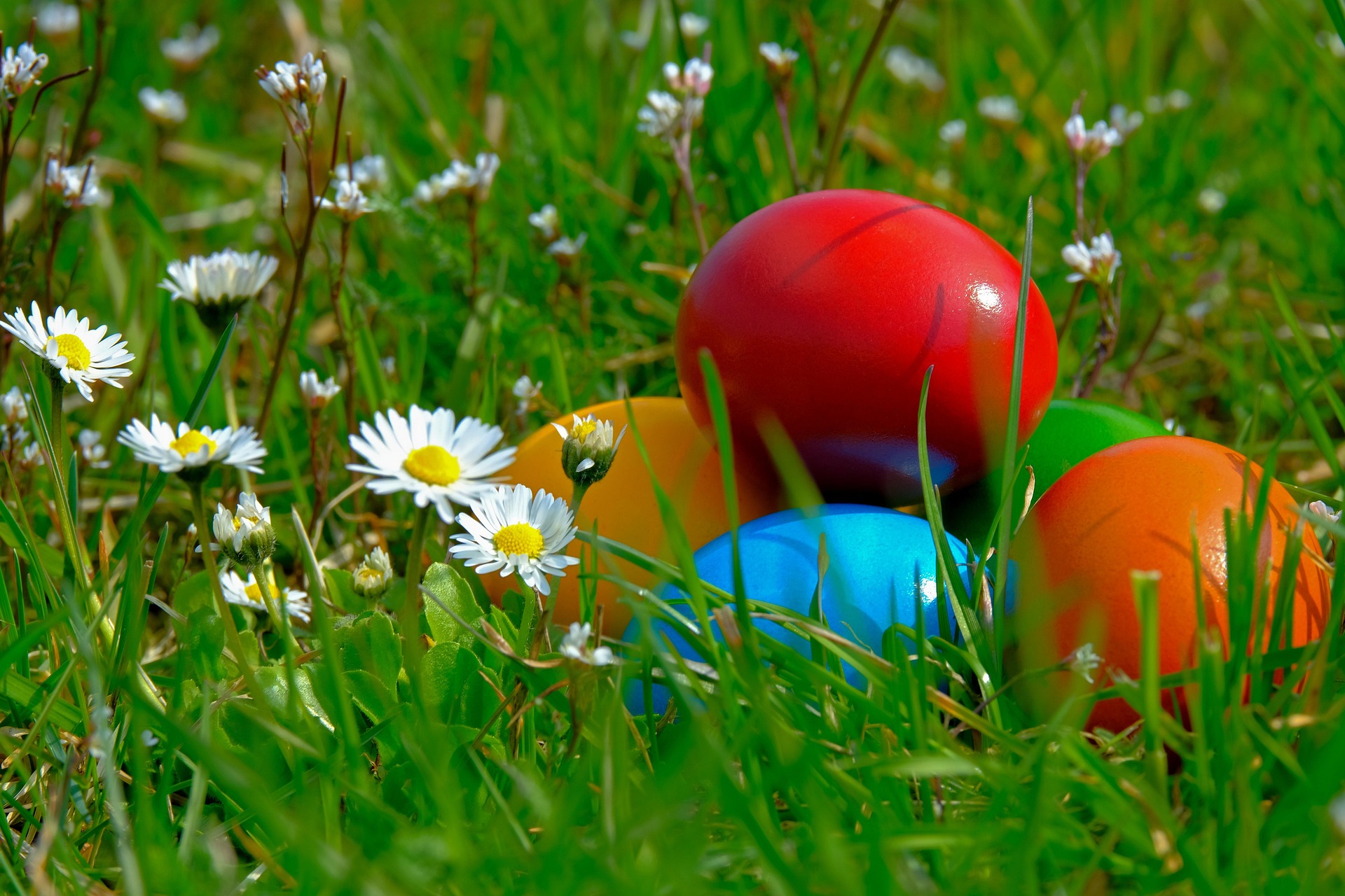 Ostern ist bunt und süß – und den Österreicherinnen und Österreichern weiterhin wichtig. Das zeigt eine aktuelle repräsentative Umfrage des digitalen Markt- und Meinungsforschungsinstituts Marketagent unter mehr als 1.000 Personen zwischen 14 und 75 Jahren. Das Fazit: Das Fest rund um den Hasen ist eine beliebte Tradition und bleibt emotional verankert.