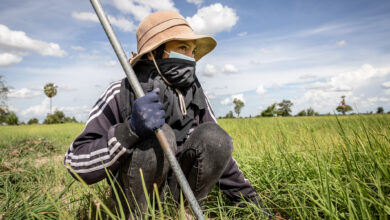 Neue Studie zu nachhaltiger Landwirtschaft zeigt: Das Bäcker- und Konditorenhandwerk kann durch Bio-Zutaten, Regionalität und weniger Lebensmittelverschwendung zum Vorreiter der Ernährungswende werden. Große Chancen für handwerkliche Betriebe. Bild: WeWorld/RounRy