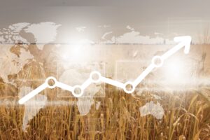 Die neue Weltbank-Studie zur Ernährungssicherheit analysiert strategische Getreidereserven (SGRs) als Kriseninstrument – mit brisanten Implikationen für die europäische Getreidewirtschaft.