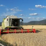 © Bernd Dittrich / Unsplash