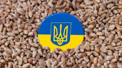 Niedrige Qualitäts-Standards, hatte zuletzt auch hierzulande das Bäcker- und Konditorenhandwerk unter Druck gesetzt – etwa durch den Import von ukrainischem Getreide. © Unsplash / Marek Studzinski