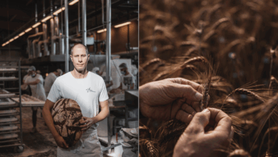 Bei Josef Weghaupt wird traditionelles Handwerk mit 100% Bio-Qualität, Biordiversität und strenger Regionalität verbunden. © Joseph Brot