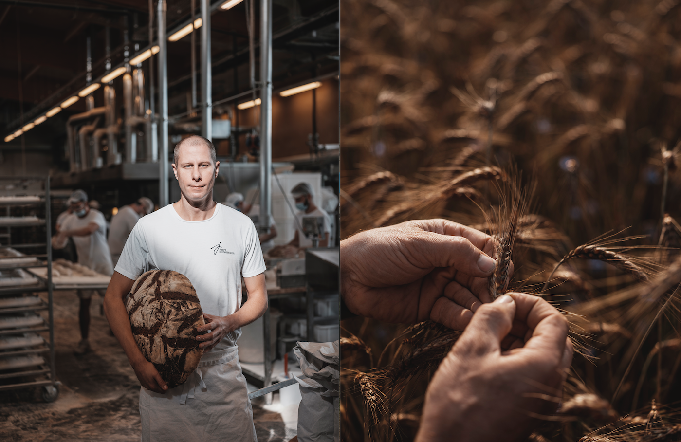 Bei Josef Weghaupt wird traditionelles Handwerk mit 100% Bio-Qualität, Biordiversität und strenger Regionalität verbunden. © Joseph Brot