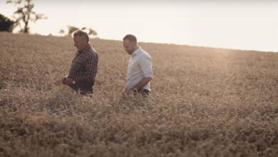 Bäcker Georg Resch im Getreidefeld. © Sarah Ullmann