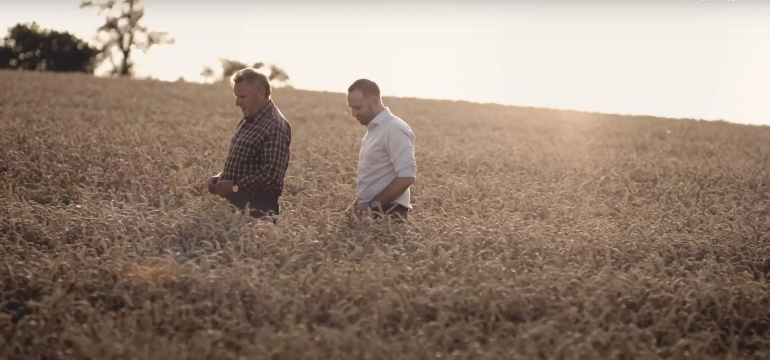 Bäcker Georg Resch im Getreidefeld. © Sarah Ullmann