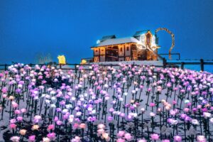 Das Lichterglanz-Spektakel beim Eis-Greissler verwandelt den Winter in ein märchenhaftes Abenteuer. © Danijel Jovanovic