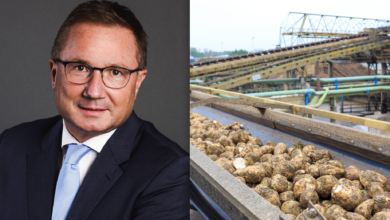 Ab 1. Jänner 2026 leitet DI Franz Ennser die Geschicke der AGRANA. © Schedl / APA OTS und AGRANA