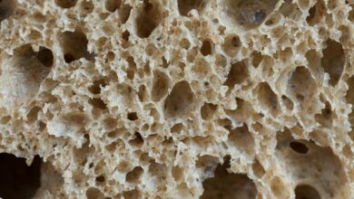 Sauerteigbrot: Studien deuten darauf hin, dass fermentierte Brote mit gezielt eingesetzten Starterkulturen einen niedrigeren glykämischen Effekt aufweisen können als vergleichbare Hefebrote. © Unsplash/ spring-fed-images