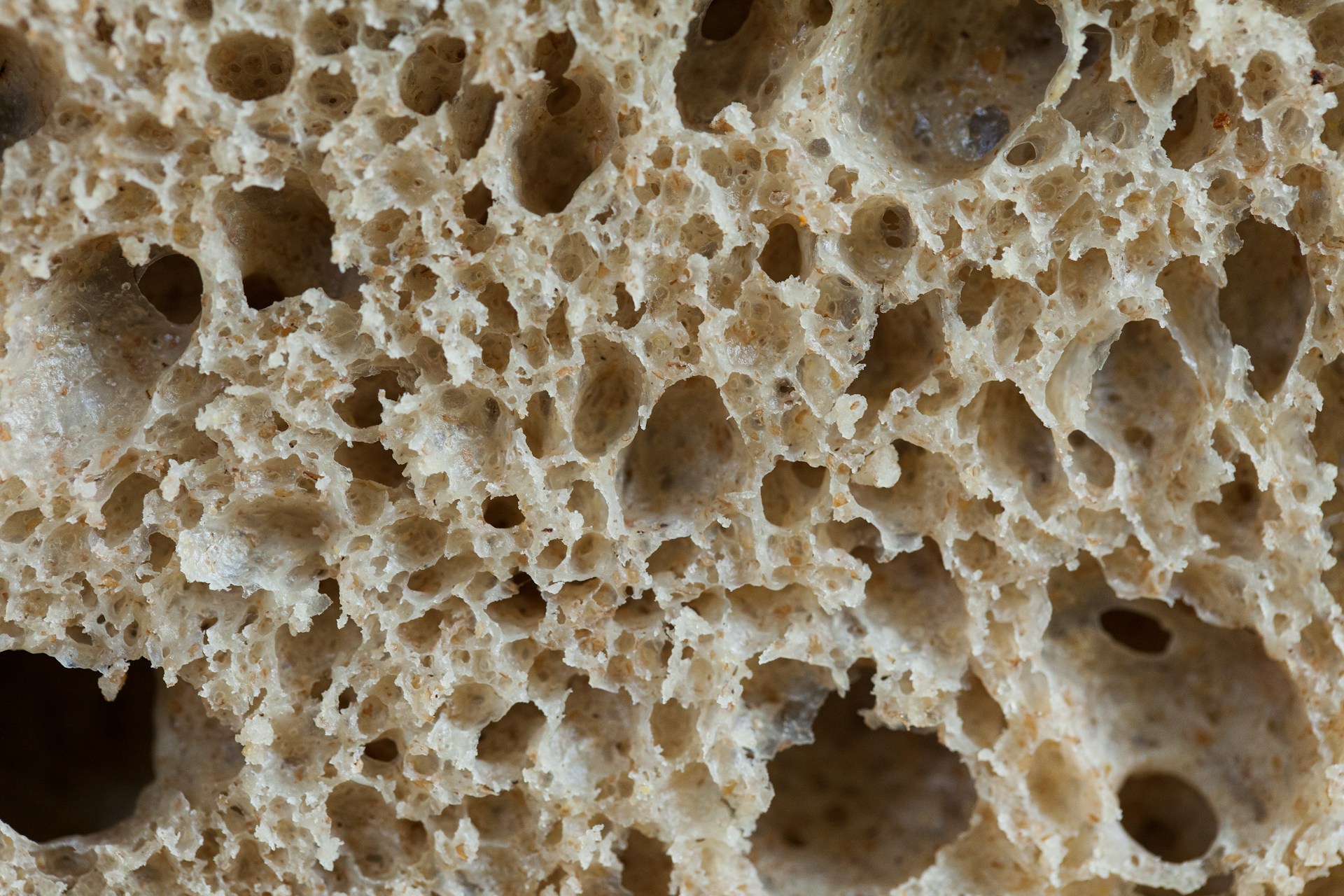 Sauerteigbrot: Studien deuten darauf hin, dass fermentierte Brote mit gezielt eingesetzten Starterkulturen einen niedrigeren glykämischen Effekt aufweisen können als vergleichbare Hefebrote. © Unsplash/ spring-fed-images