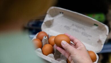 Unklar: Während bei Schaleneiern die Herkunft klar deklariert sein muss, gilt diese Verpflichtung für verarbeitete Lebensmittel nicht. © Land schafft Leben