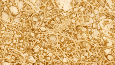 Das Glutennetzwerk (auch Klebereiweiß genannt) ist das essenzielle Strukturgerüst im Brotteig, das aus den Proteinen Glutenin und Gliadin bei Zugabe von Wasser und Kneten entsteht. © Illustration KI generiert