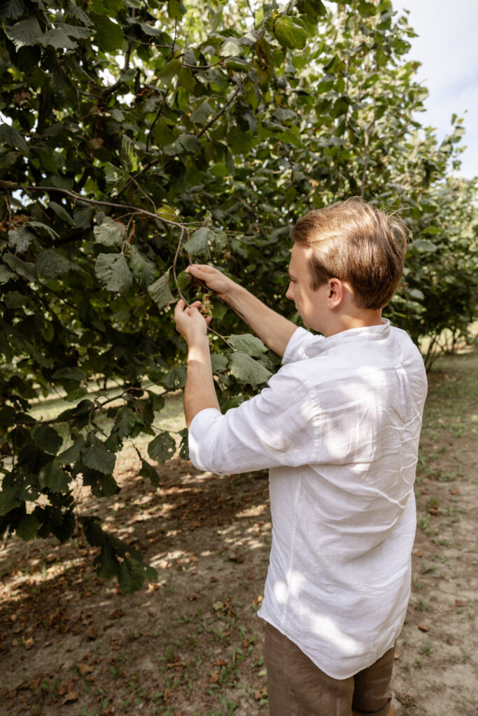 Die Haselnussernte wird natürlich per Hand erledigt. © Genussfux