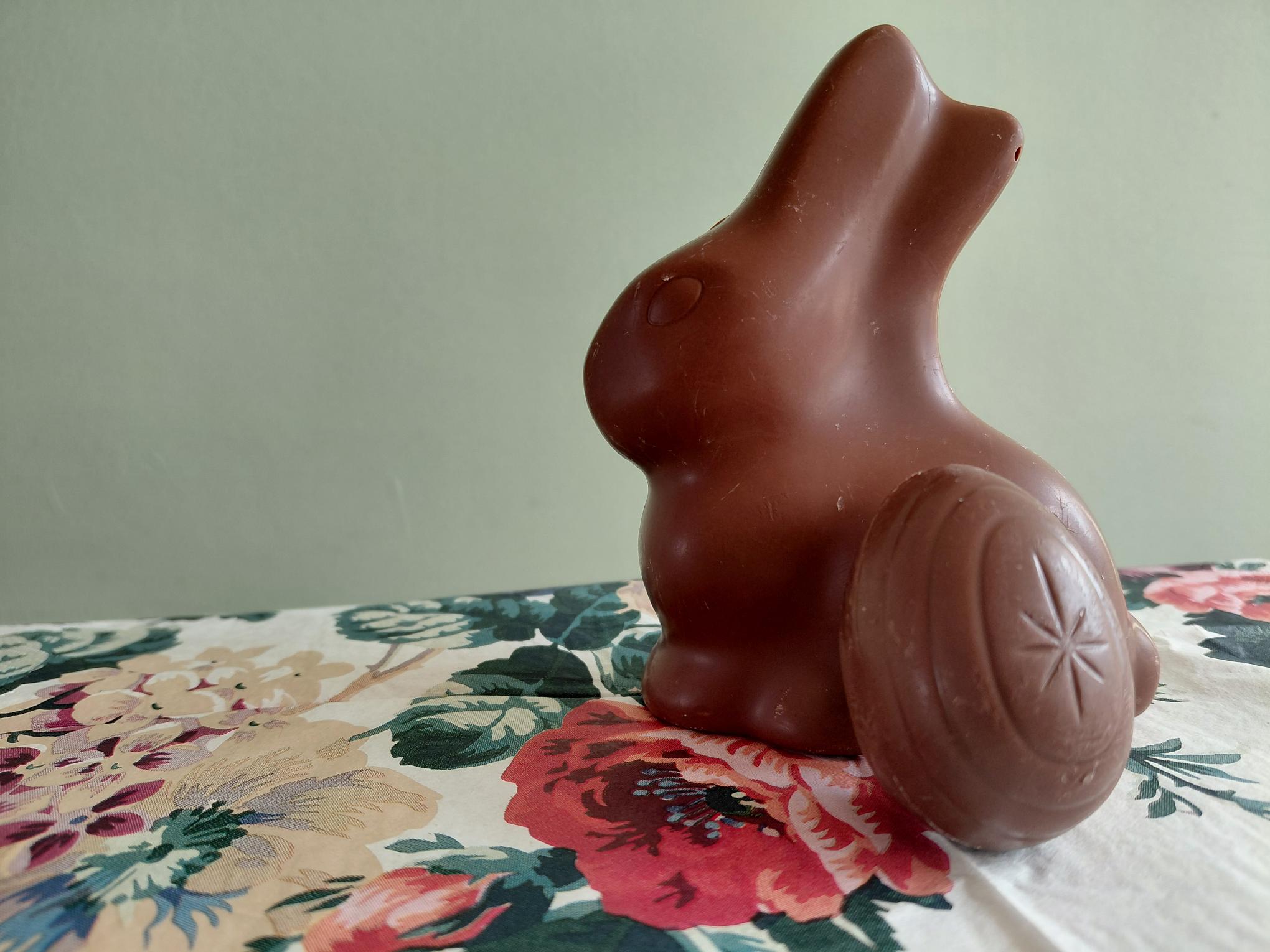 Kakao zwischen Genuss und Verantwortung: Neue Anforderungen für das Handwerk