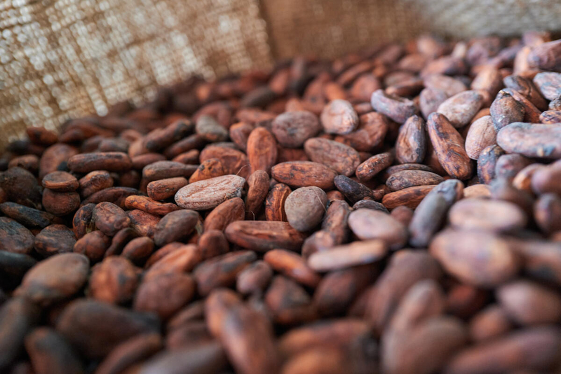 Barry Callebaut kämpft mit Absatzrückgang – und zieht die Reißleine