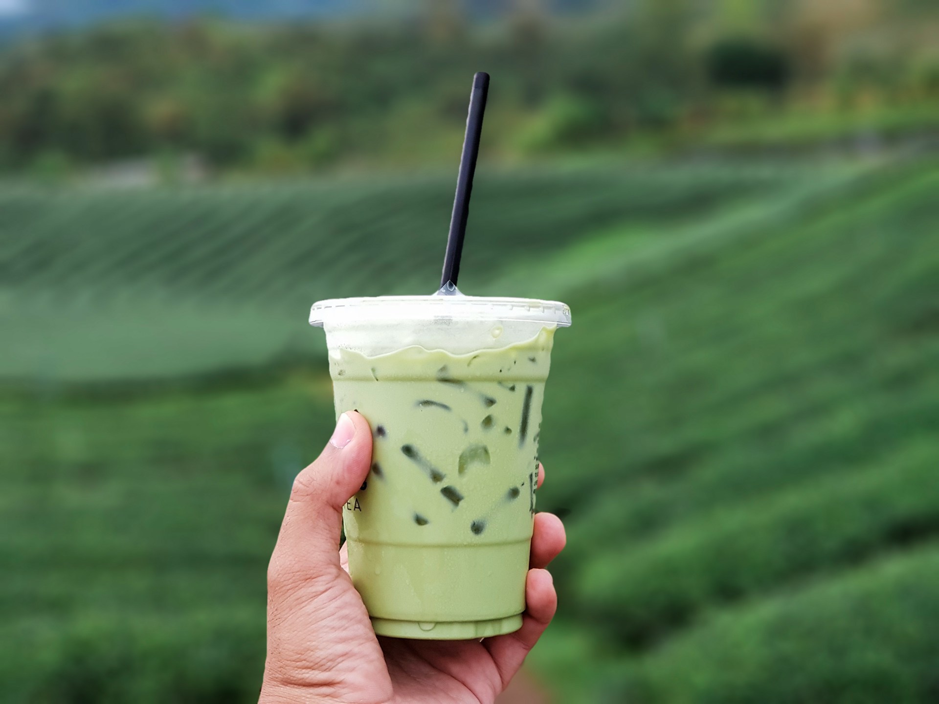 Tag des Tees 2026: Matcha, Cold Brew und Chai erobern Österreichs Bäckereien